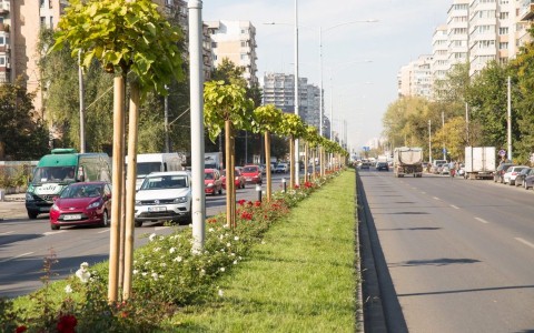 Doua bulevarde din Bucuresti ar putea avea denumiri noi