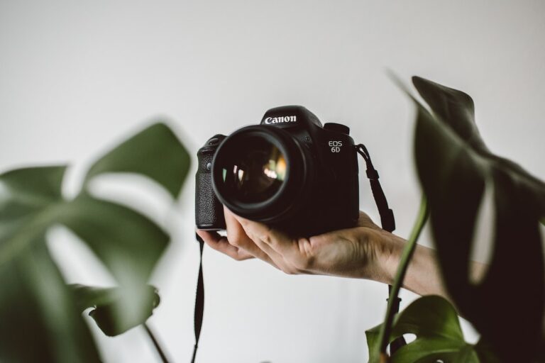 Ghidul începătorului în fotografia DSLR: Cum să începi călătoria ta în lumea fotografiei