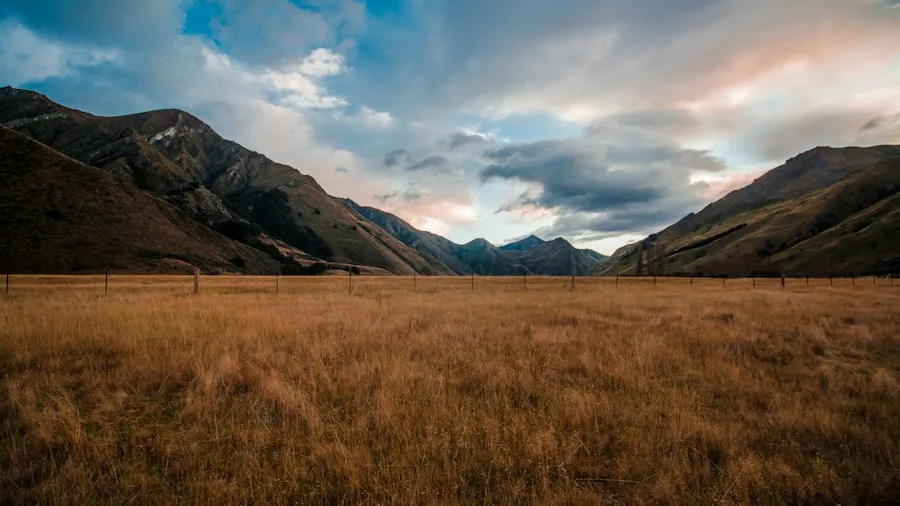 Photo landscape photography tips