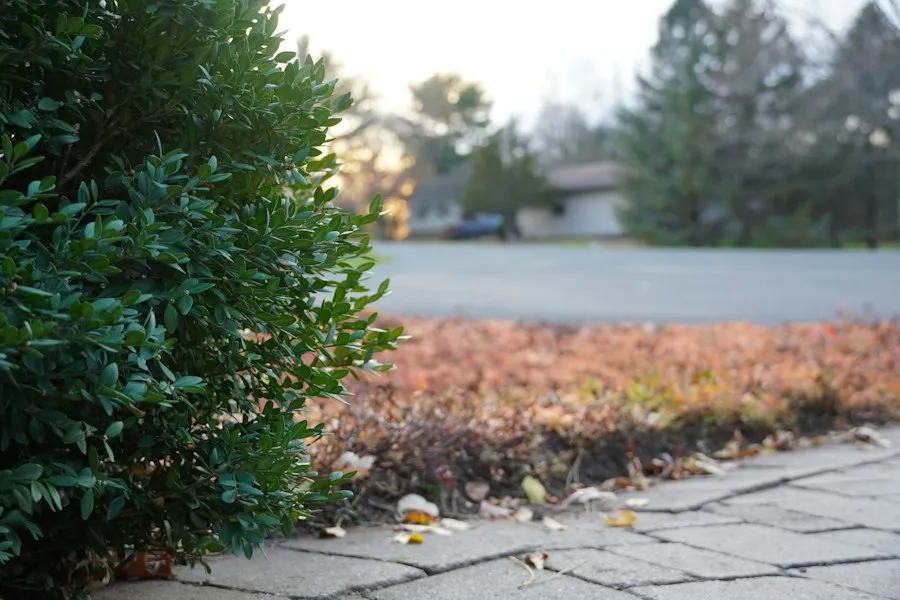 Photo common landscape mistakes